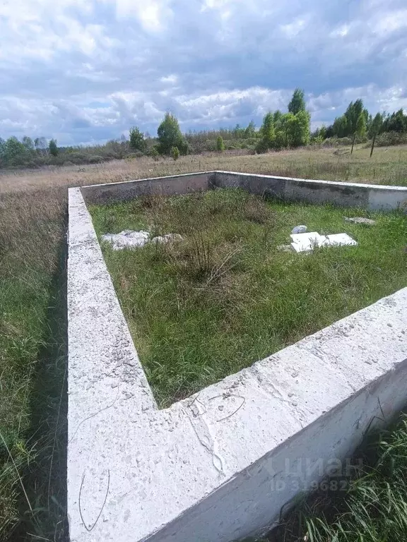 Участок в Липецкая область, Добровский муниципальный округ, с. Большой ... - Фото 0