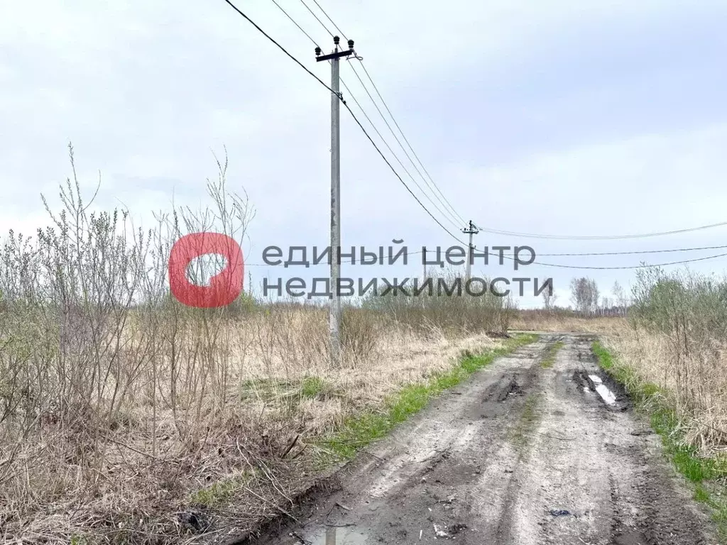 Участок в Тюменская область, Тюмень Поле Чудес садовое товарищество, ... - Фото 0