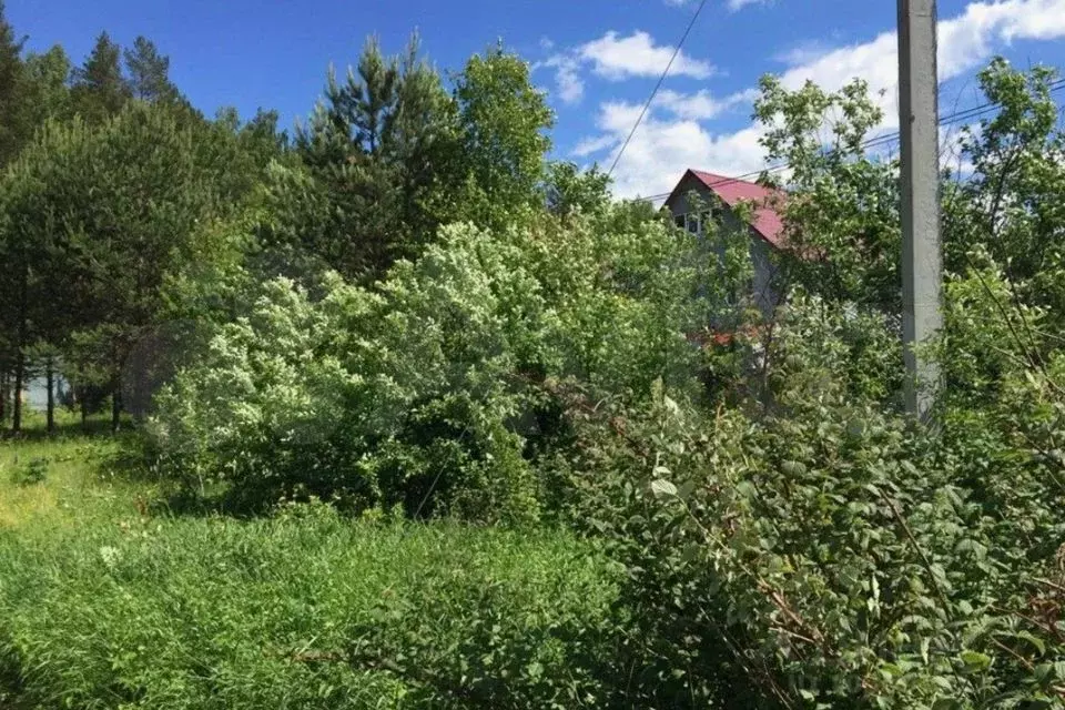 Участок 5 сот. (СНТ, ДНП) - Фото 0