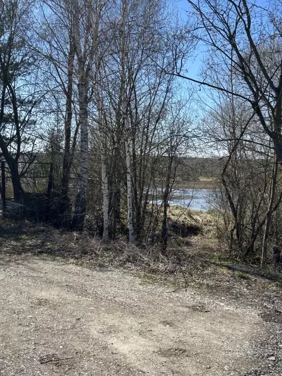 Участок в Тульская область, Тула городской округ, д. Долгое ул. ... - Фото 1