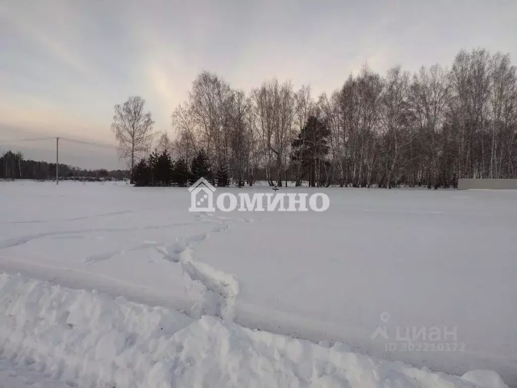 Участок в Тюменская область, Тюменский район, д. Ушакова ул. Радостная ... - Фото 1