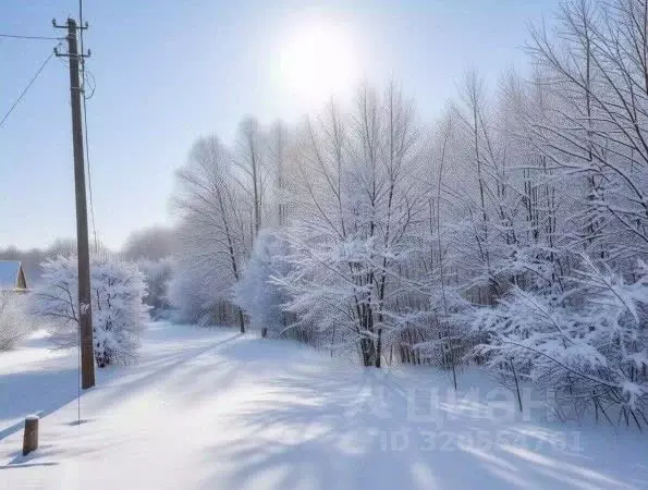 Участок в Ленинградская область, Киришский район, Кусинское с/пос, ... - Фото 1