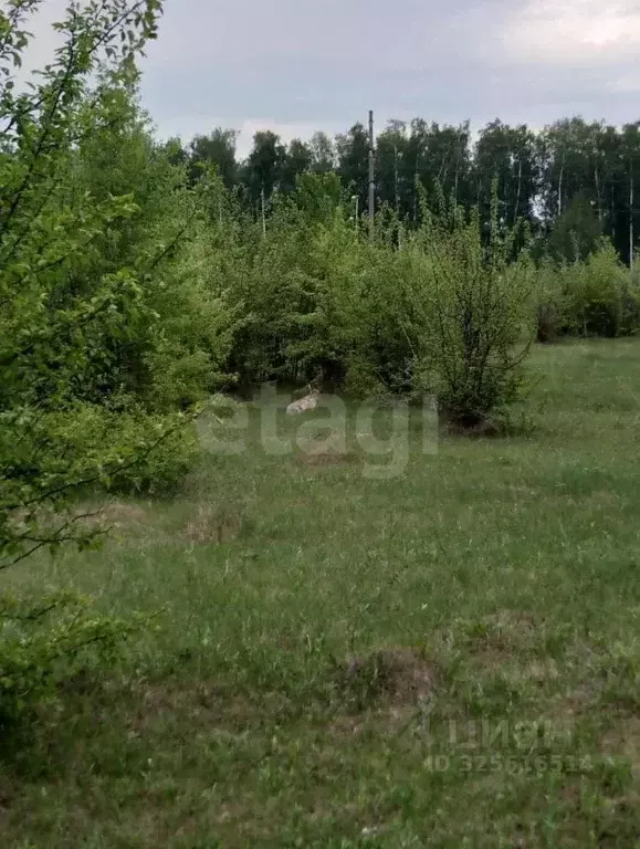 Участок в Самарская область, Волжский район, Рождествено с/пос, с. ... - Фото 1
