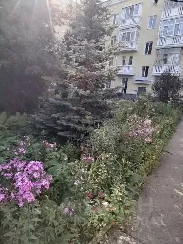 2-к кв. Нижегородская область, Нижний Новгород ул. Чаадаева, 15 (61.0 ... - Фото 2