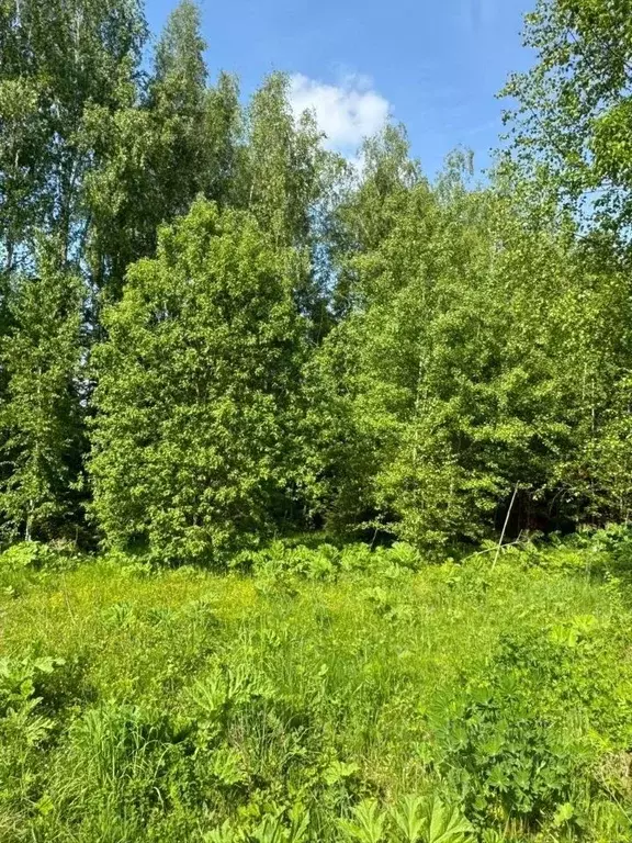 Участок в Москва Лесной Пейзаж кп, ул. Сомова, 33/5 (13.0 сот.) - Фото 2