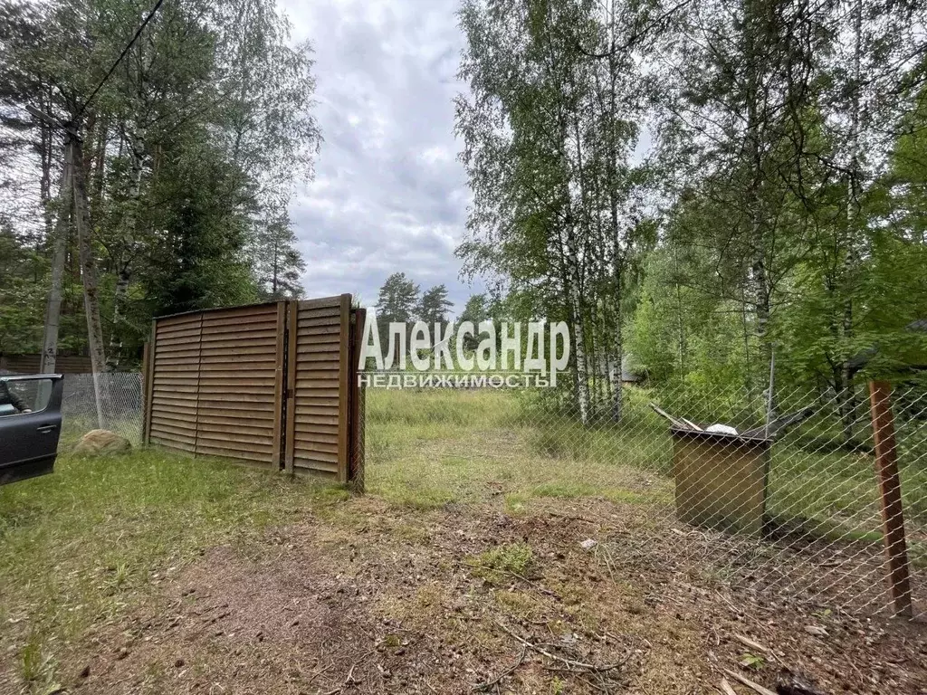 Участок в Ленинградская область, Лужский район, Толмачево городской ... - Фото 2