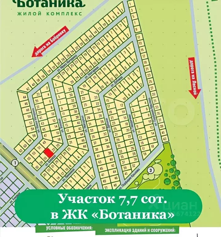 Участок в Алтайский край, Первомайский район, с. Фирсово Ботаника ... - Фото 2