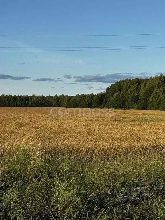 Участок в Тюменская область, Тюменский район, с. Горьковка  (8.3 сот.) - Фото 0