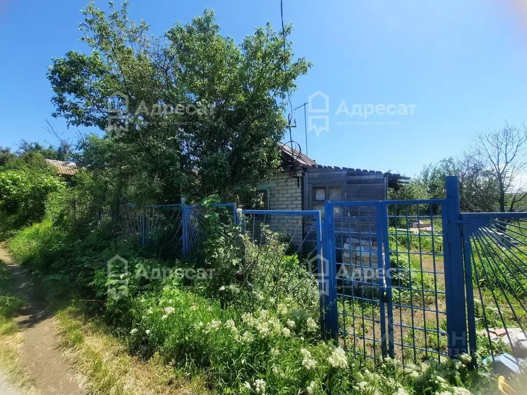 Дом в Волгоградская область, Волгоград Восход СНТ,  (11 м) - Фото 1