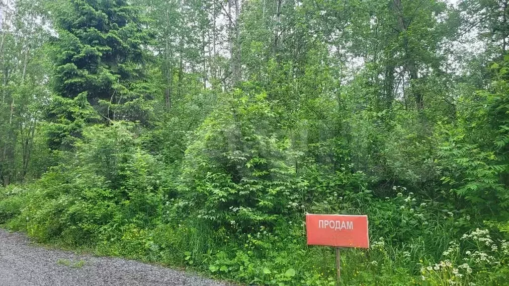 Участок 8 сот. (ИЖС) - Фото 0