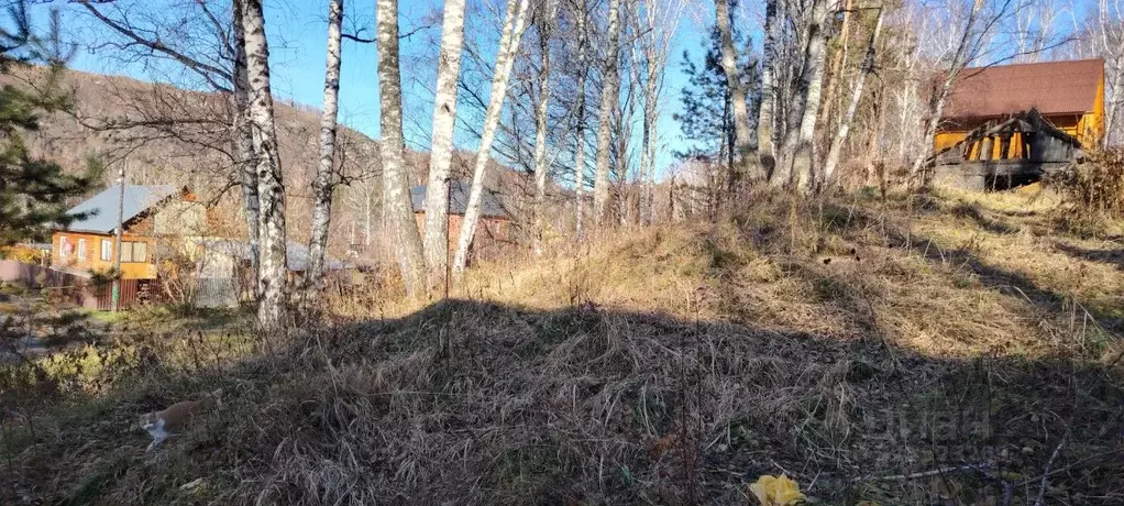 Участок в Алтай, Майминский район, Соузгинское с/пос, Катунь ДНП  (8.0 ... - Фото 1