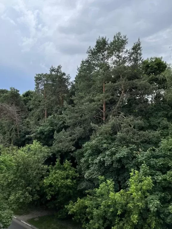 2-к кв. Московская область, Жуковский ул. Амет-хан Султана, 1 (45.0 м) - Фото 0