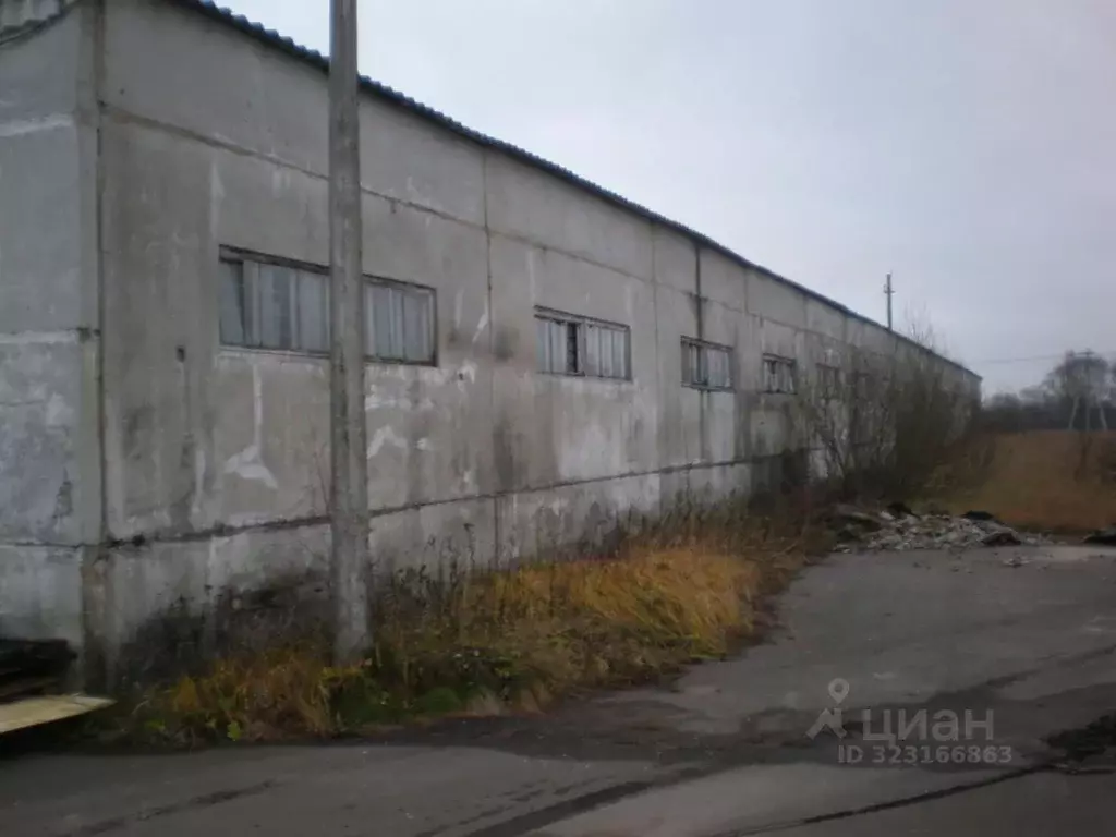 Склад в Московская область, Лотошино пгт ул. Калинина (2000 м) - Фото 2