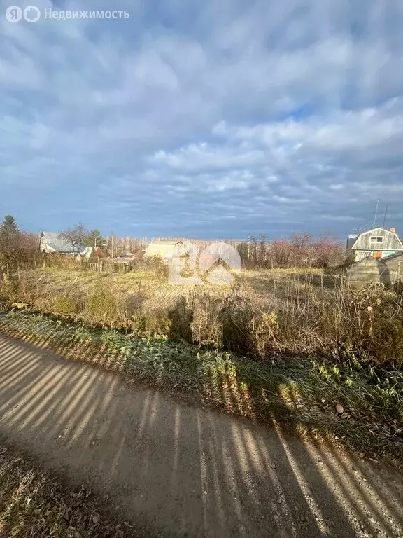 Участок в Мошковский район, садовое товарищество Галантерейщик, 24 (12 ... - Фото 1