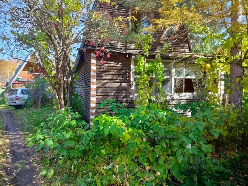 Участок в Камчатский край, Елизовский муниципальный округ, Лесное СНТ ... - Фото 1
