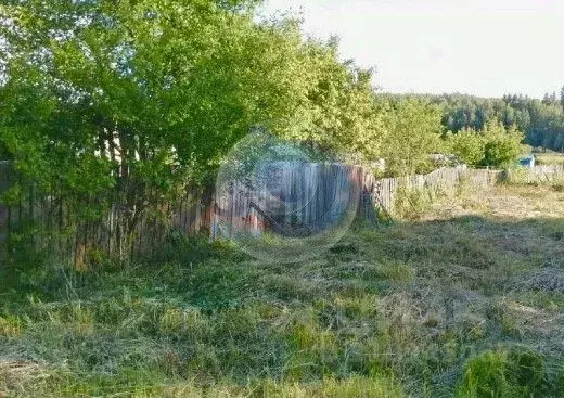 Участок в Московская область, Рузский городской округ, д. Паново  ... - Фото 1