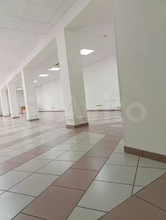Офис,клиника,кафе,клуб,ресторан, от 150 до 600 кв - Фото 0