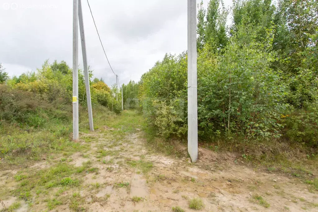 Участок в Тюменская область, Тобольский муниципальный округ, ... - Фото 2