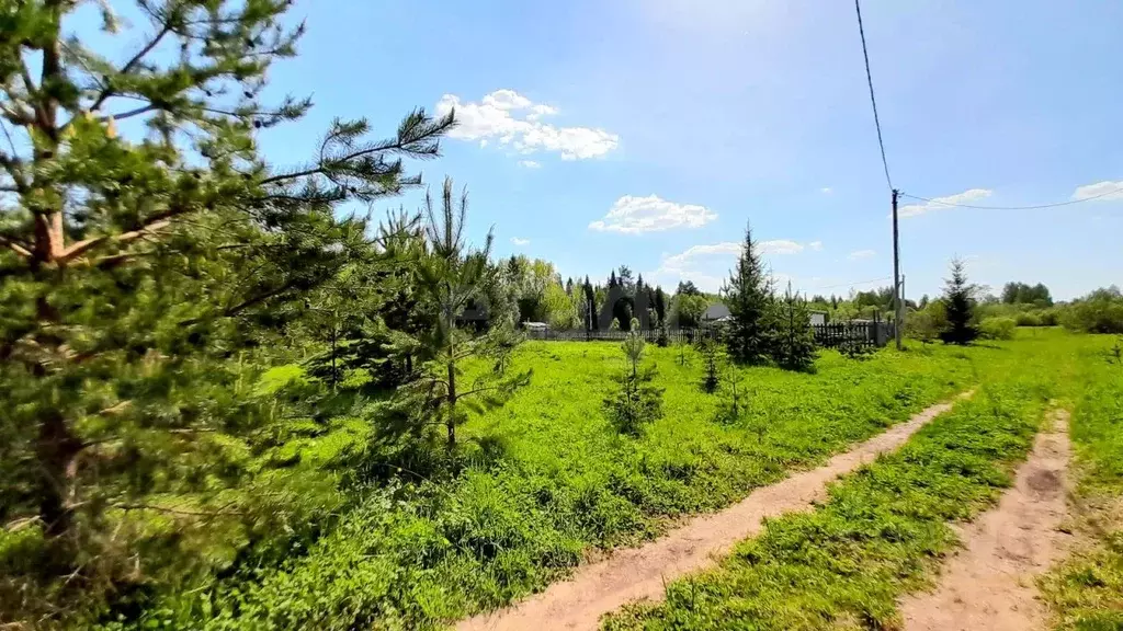 Участок в Кировская область, Слободской муниципальный район, д. Шихово ... - Фото 1