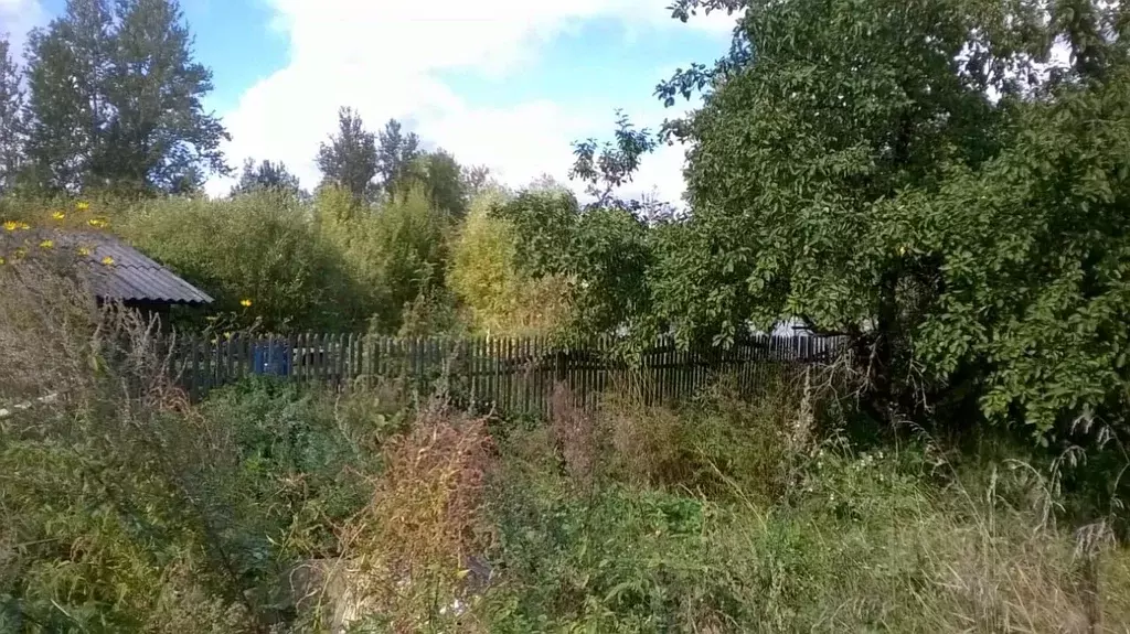 Дом в Новгородская область, Сольцы г. Солецкий муниципальный округ, ... - Фото 1