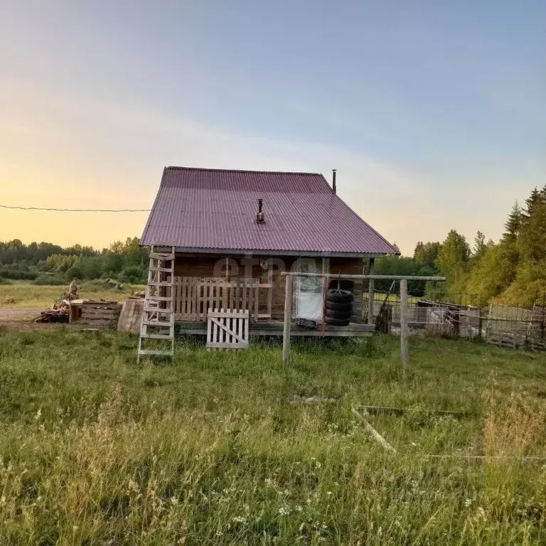 Участок в Псковская область, Струго-Красненский район, д. Замошье ... - Фото 1