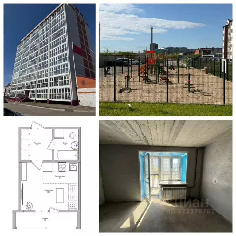 Студия Амурская область, Благовещенский район, с. Чигири ул. ... - Фото 1