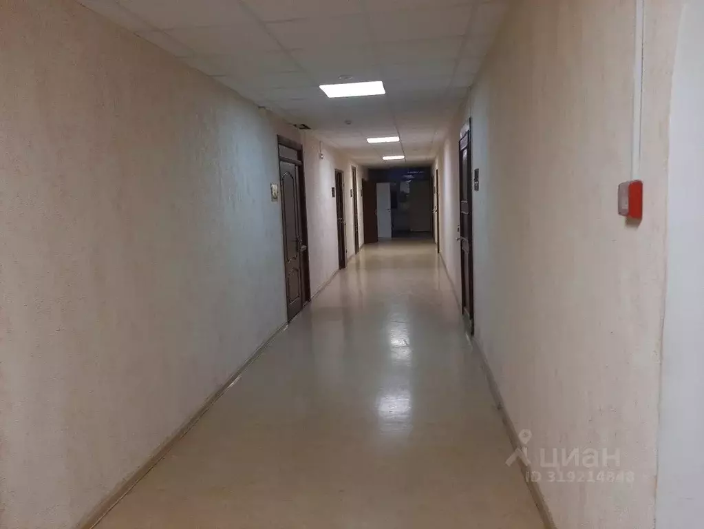 Помещение свободного назначения в Санкт-Петербург ул. Льва Толстого, 7 ... - Фото 0