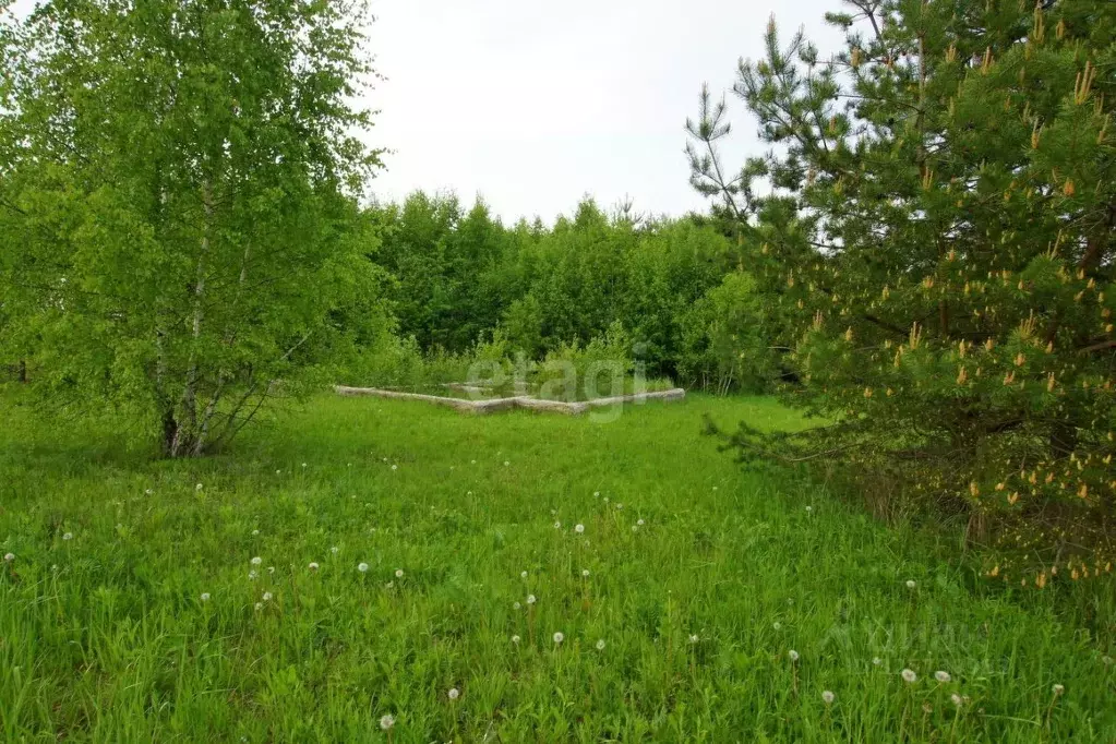 Участок в Калужская область, Малоярославецкий муниципальный округ, ... - Фото 1