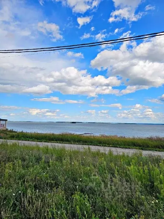 Участок в Новосибирская область, Ордынский район, с. Новопичугово  ... - Фото 1