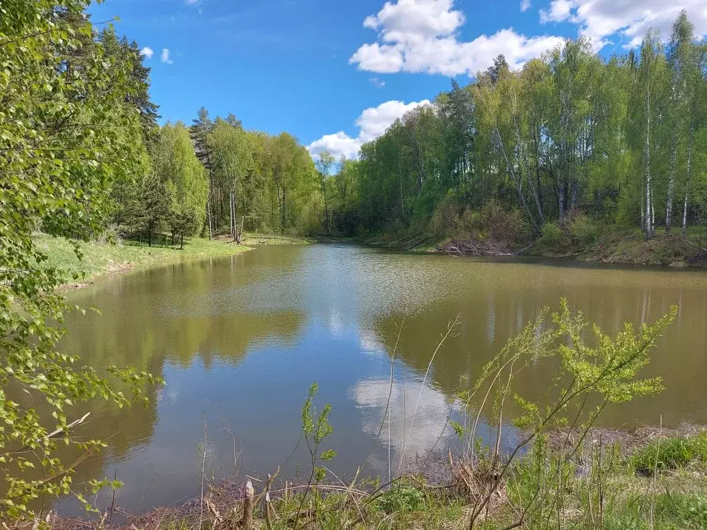 Участок в Тульская область, Заокский район, Страховское с/пос, ... - Фото 1