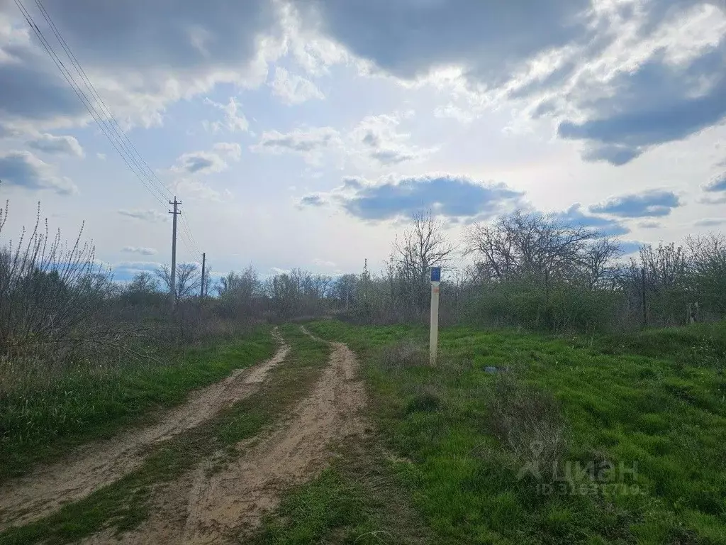 Участок в Волгоградская область, Среднеахтубинский район, Куйбышевское ... - Фото 1
