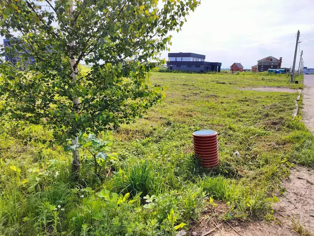 Участок в Ленинградская область, Тосненский район, Федоровское ... - Фото 0