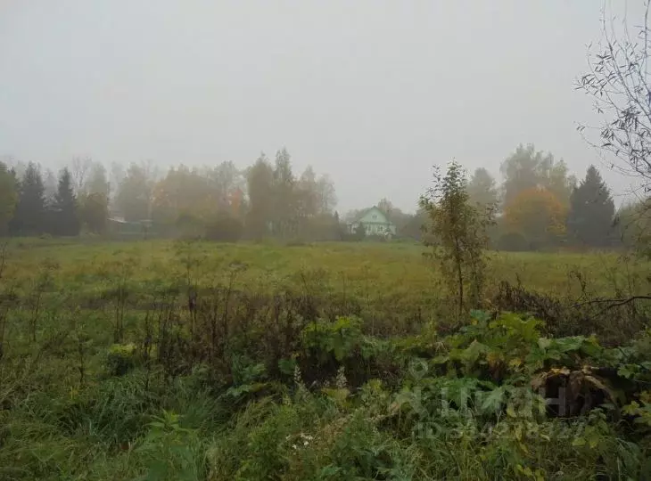 Участок в Московская область, Дмитровский муниципальный округ, д. ... - Фото 1