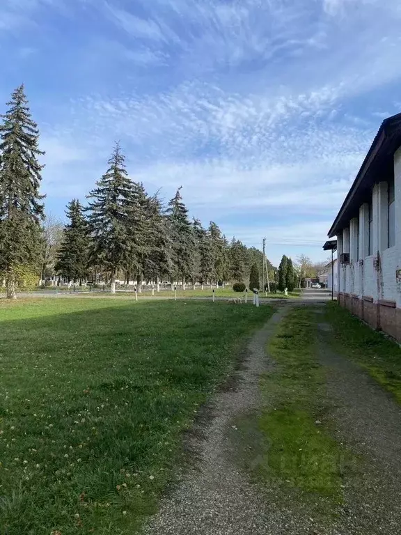 Производственное помещение в Краснодарский край, с. Успенское ул. ... - Фото 2