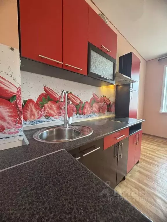 1-к кв. Алтай, Горно-Алтайск ул. Осипенко (25.7 м) - Фото 1