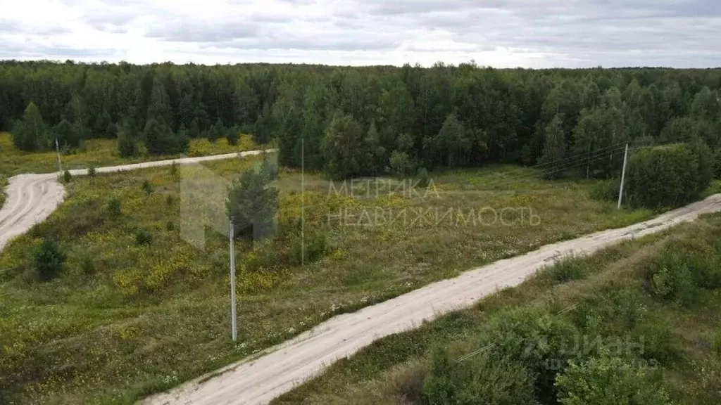 Участок в Тюменская область, Нижнетавдинский район, с. Тюнево  (15.0 ... - Фото 1