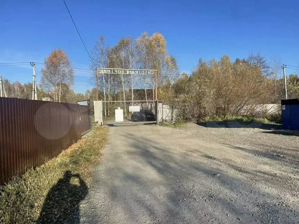 Участок в Свердловская область, Екатеринбург Автотранспортник СНТ, 66 ... - Фото 1