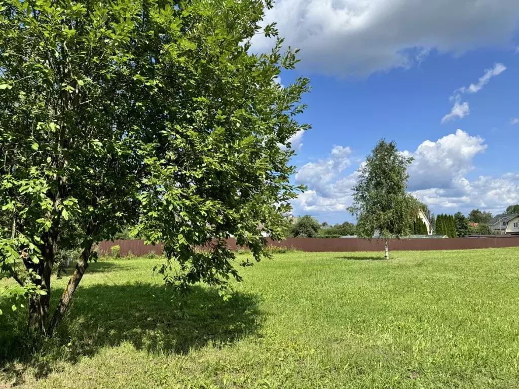 Участок в Московская область, Дмитровский муниципальный округ, д. ... - Фото 1