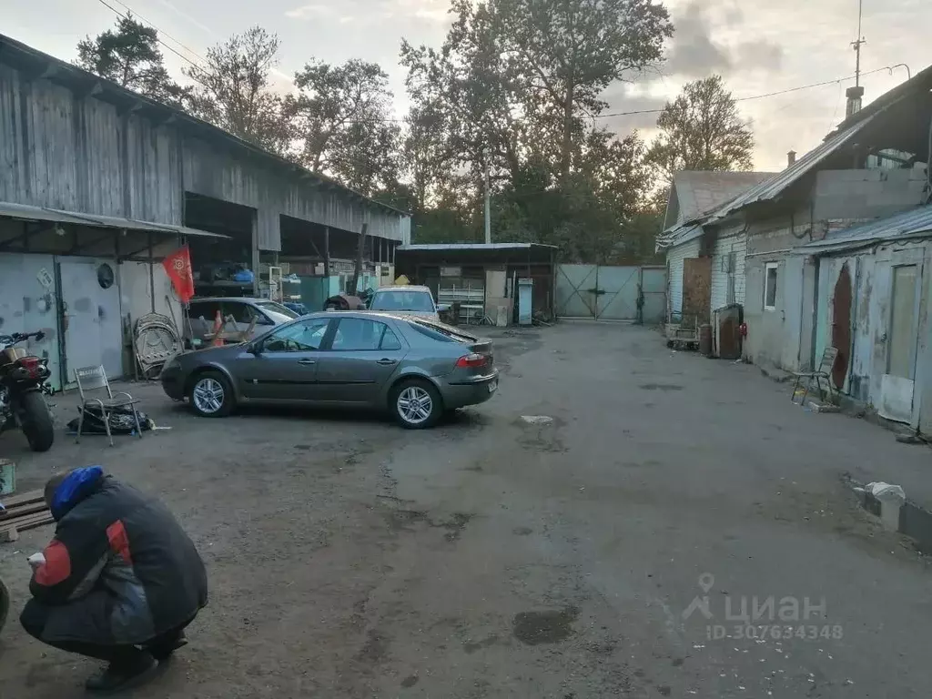 Участок в Санкт-Петербург, Санкт-Петербург, Сестрорецк просп. Красных ... - Фото 1