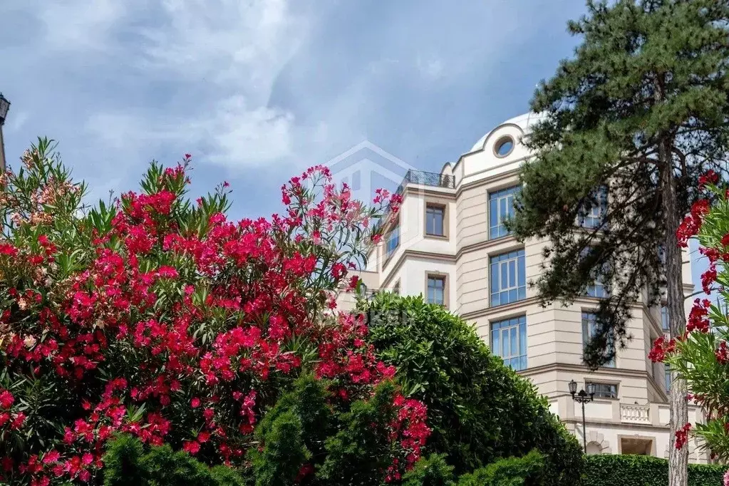 3-к кв. Крым, Ялта муниципальный округ, Ореанда пгт 60 (97.0 м) - Фото 2