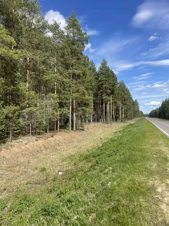 Дом 56,5 м на участке 15 сот. - Фото 1