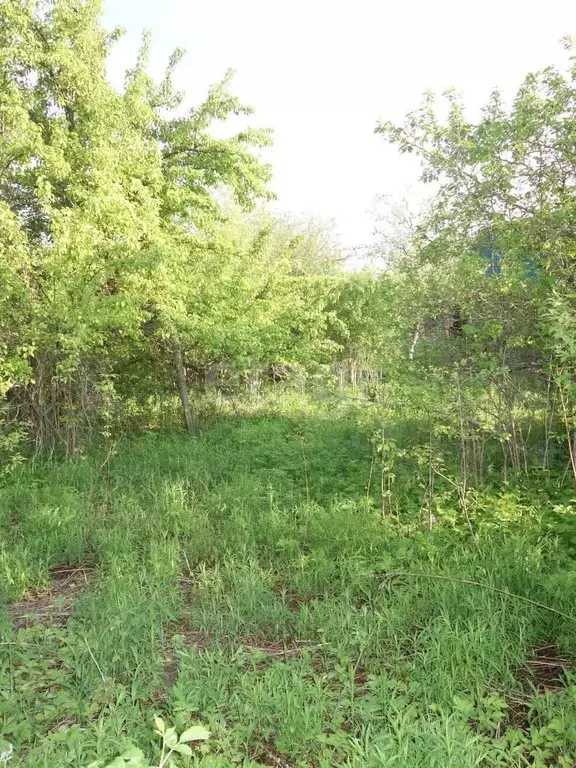 Участок, 6.3 сот., сельхоз (снт или днп) - Фото 1