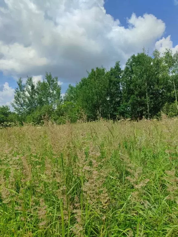 Участок в Псковская область, Великолукский район, Пореченская волость, ... - Фото 1