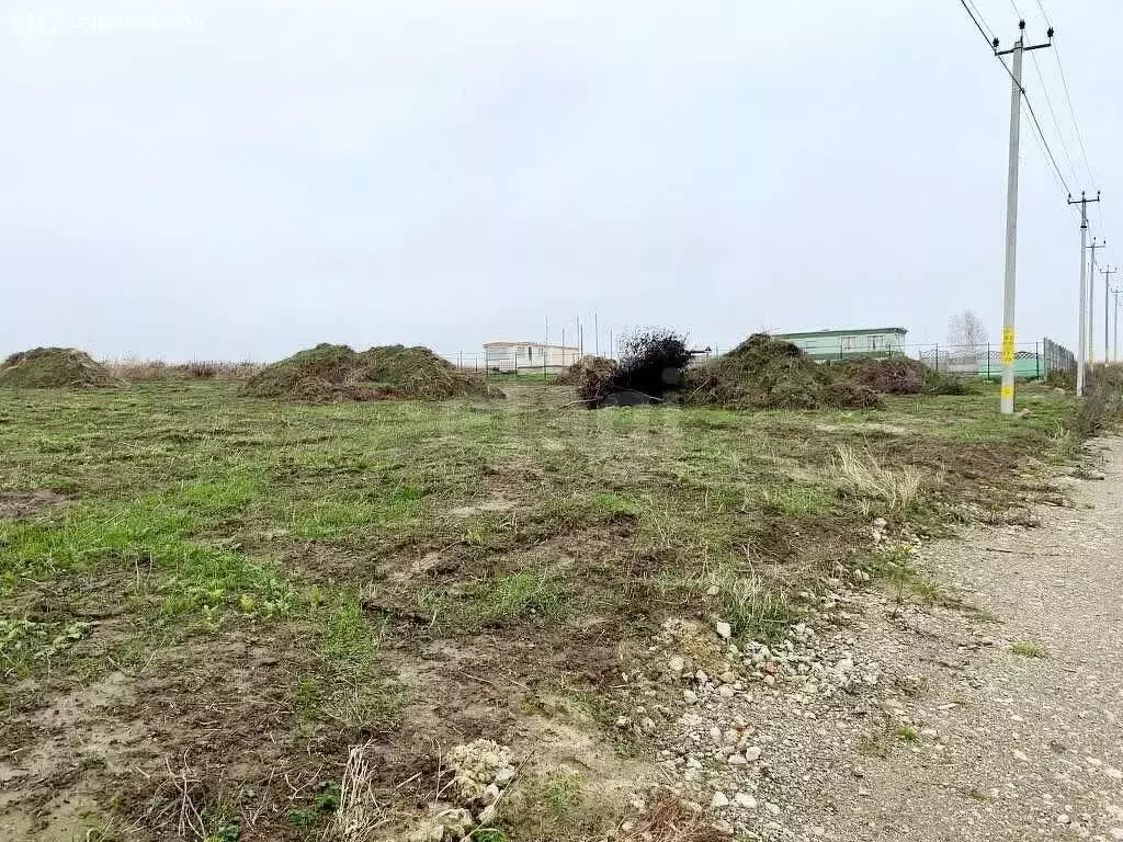 Участок в Калининградская область, Гурьевский муниципальный округ, ... - Фото 1