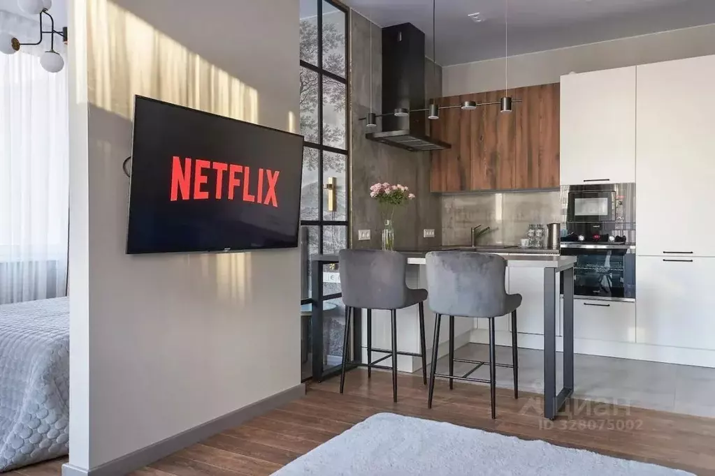 Студия Москва ул. Земляной Вал, 44 (23.0 м) - Фото 2