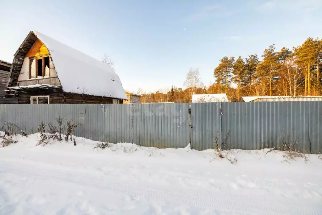 Участок в Ханты-Мансийский АО, Сургут Авиатор-34 садовое товарищество, ... - Фото 1