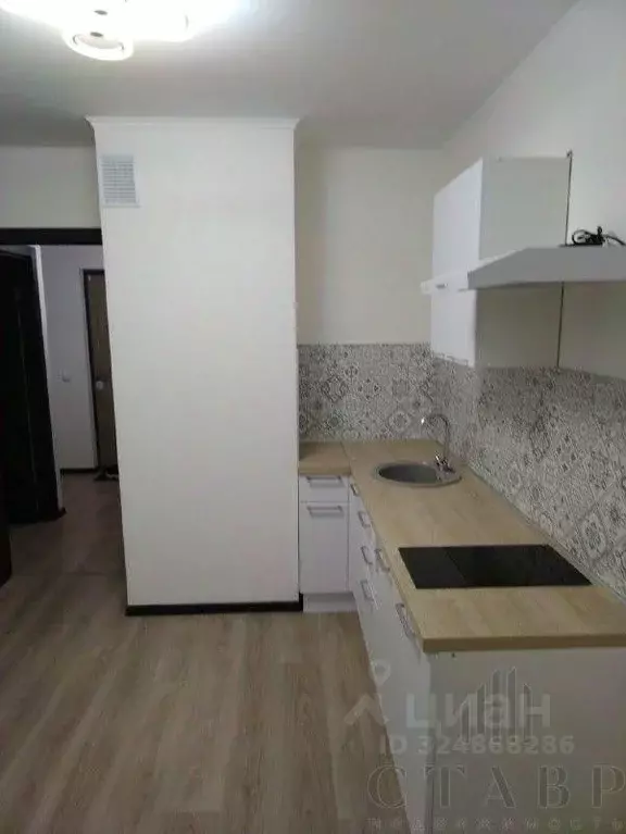 1-к кв. Ленинградская область, Всеволожский район, пос. Бугры ул. ... - Фото 2