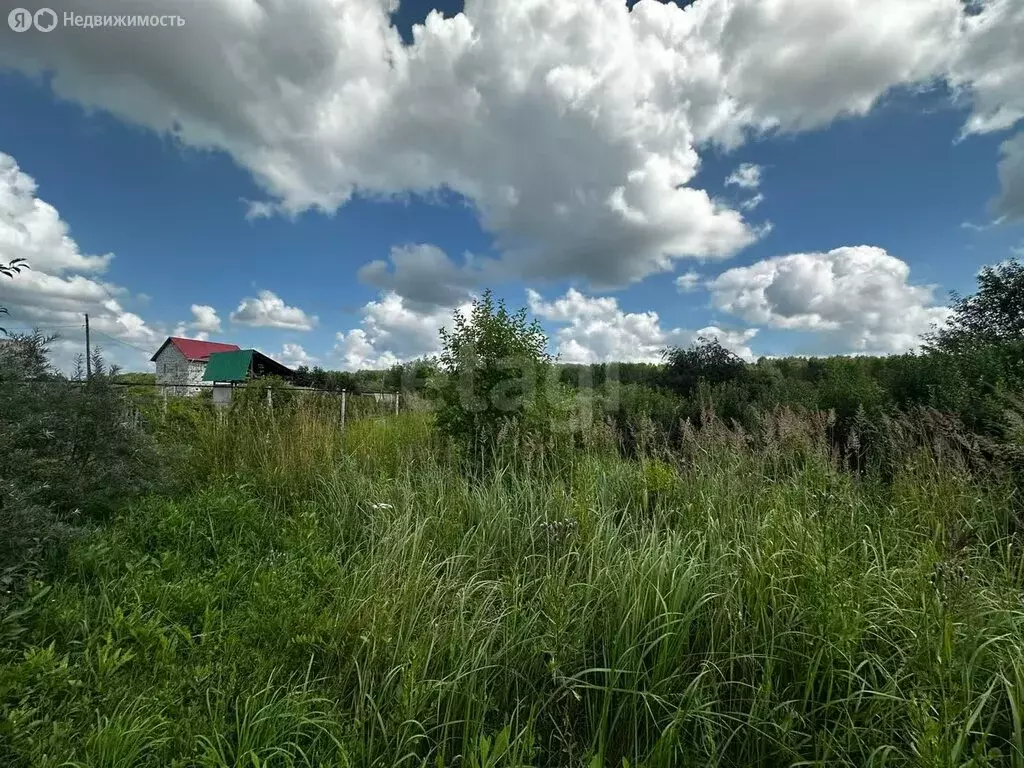 Участок в Искитимский район, Чернореченский сельсовет, садовое ... - Фото 1
