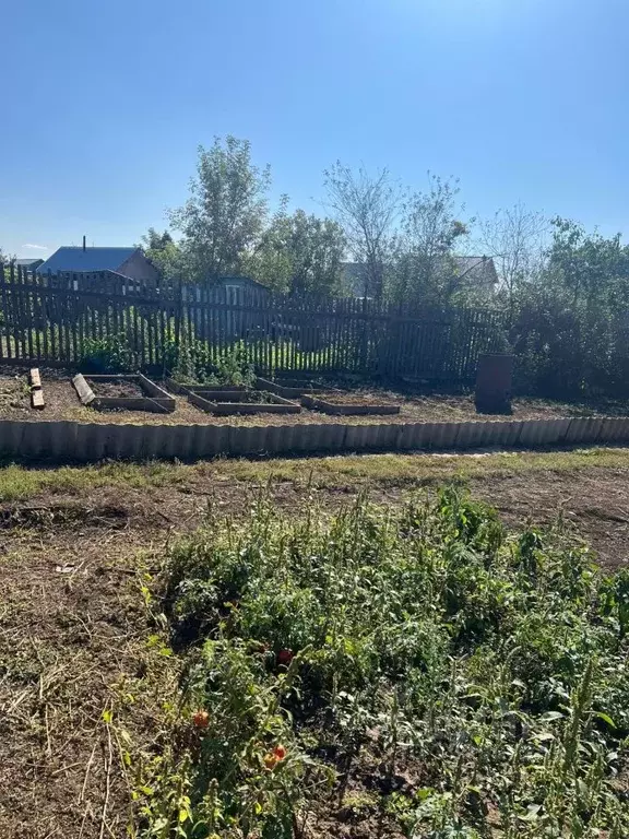 Дом в Оренбургская область, Оренбургский район, Степановский ... - Фото 2