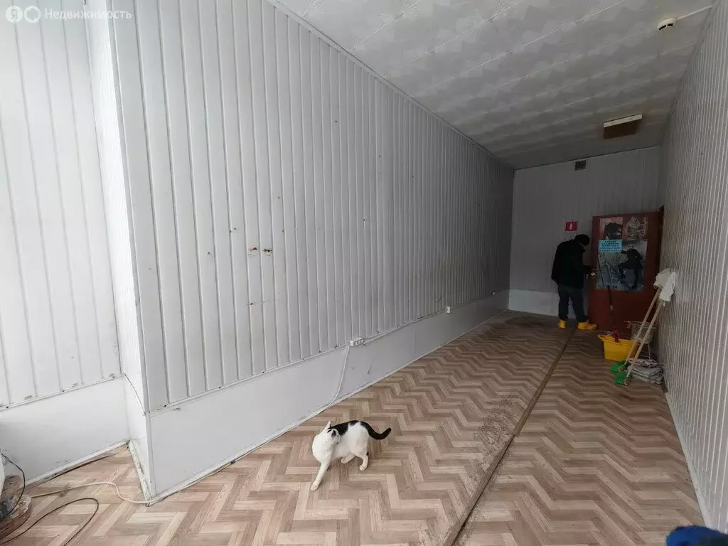 Помещение свободного назначения (17.7 м) - Фото 1